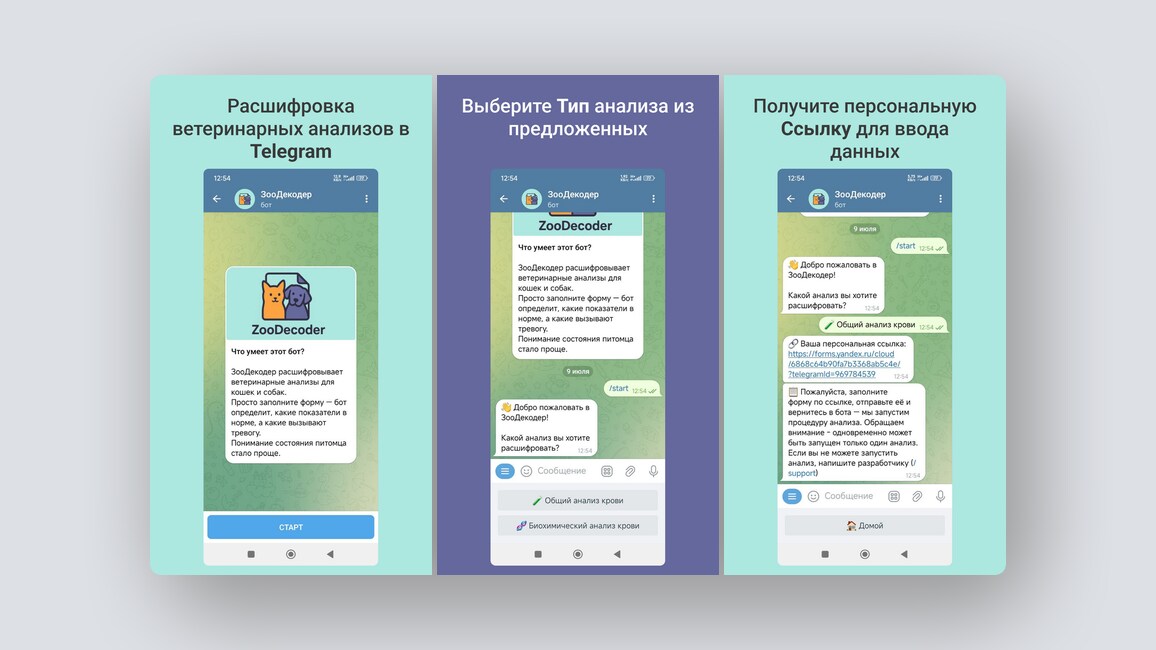 Подбор и заказ ремонта «под ключ» в новостройках, расшифровка анализов для кошек и собак — и ещё 8 российских стартапов - 2